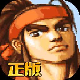 三国战纪无双版官方版