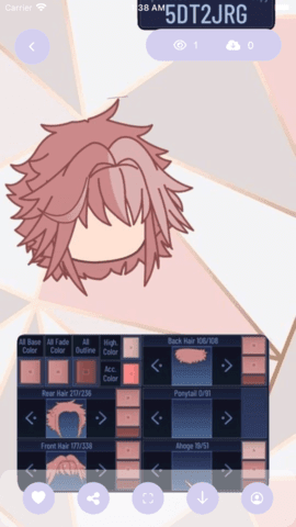 加查之花