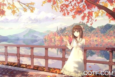 小鸟次元圈app苹果版 小鸟次元圈app苹果版