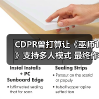 CDPR曾打算让《巫师1》支持多人模式 最终作罢（图2）