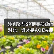 沙娜姿与SP萨曼莎数值对比：谁才是AOE法师真神？（图3）