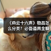 《燕云十六声》物品怎么分类？必备道具全解析（图4）