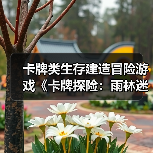 卡牌类生存建造冒险游戏《卡牌探险：雨林迷踪》公布