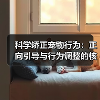 《堡垒之夜》是史上最佳免费游戏？Epic前高管：同意