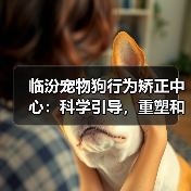 系列史上最黑暗的一作！《刺客信条：女巫》情报汇总