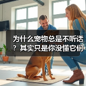 比盐粒还小的自主机器人，成本仅1美分如何实现？