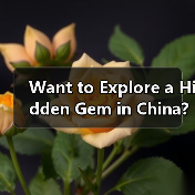 五转龙榜揭晓：法师加强后仍垫底 刺客弓手排名大变动？